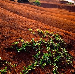 《遗迹2》首款DLC预告 11月14日上线